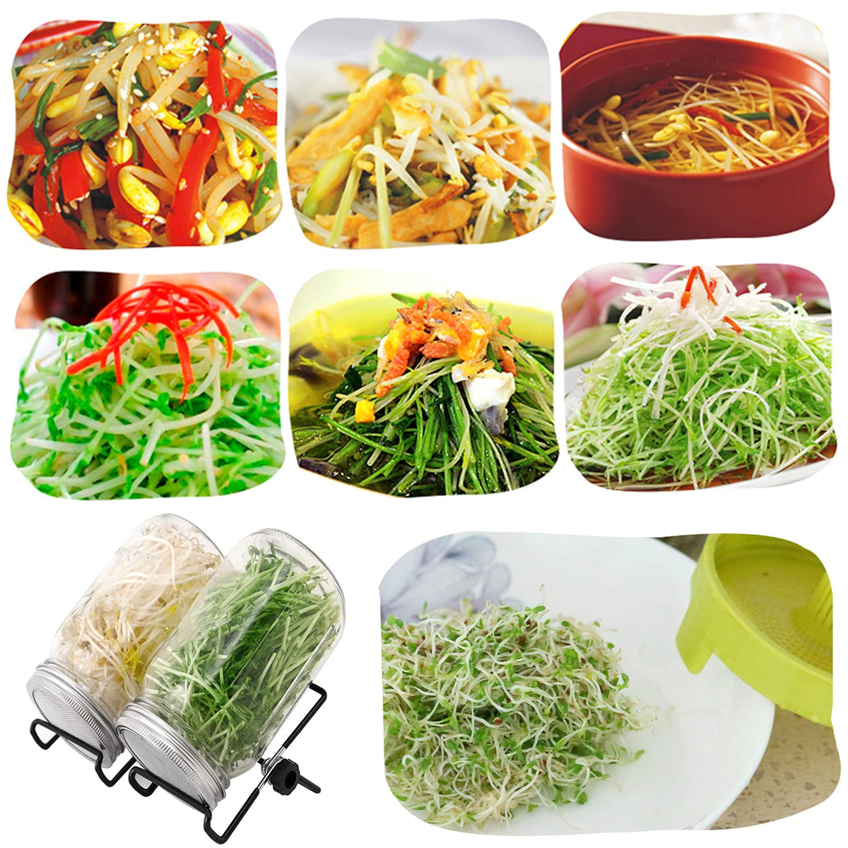 Lulonpon sprout kit: stand and tray combo fits compact kitchens