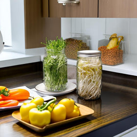Lulonpon sprout jars: wide-mouth 1L capacity for large seed batches