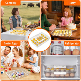 MesRosa BPA-free egg carrier offers durable, safe storage.