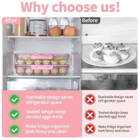 Clear plastic carrier shows remaining eggs at a glance while protecting freshness