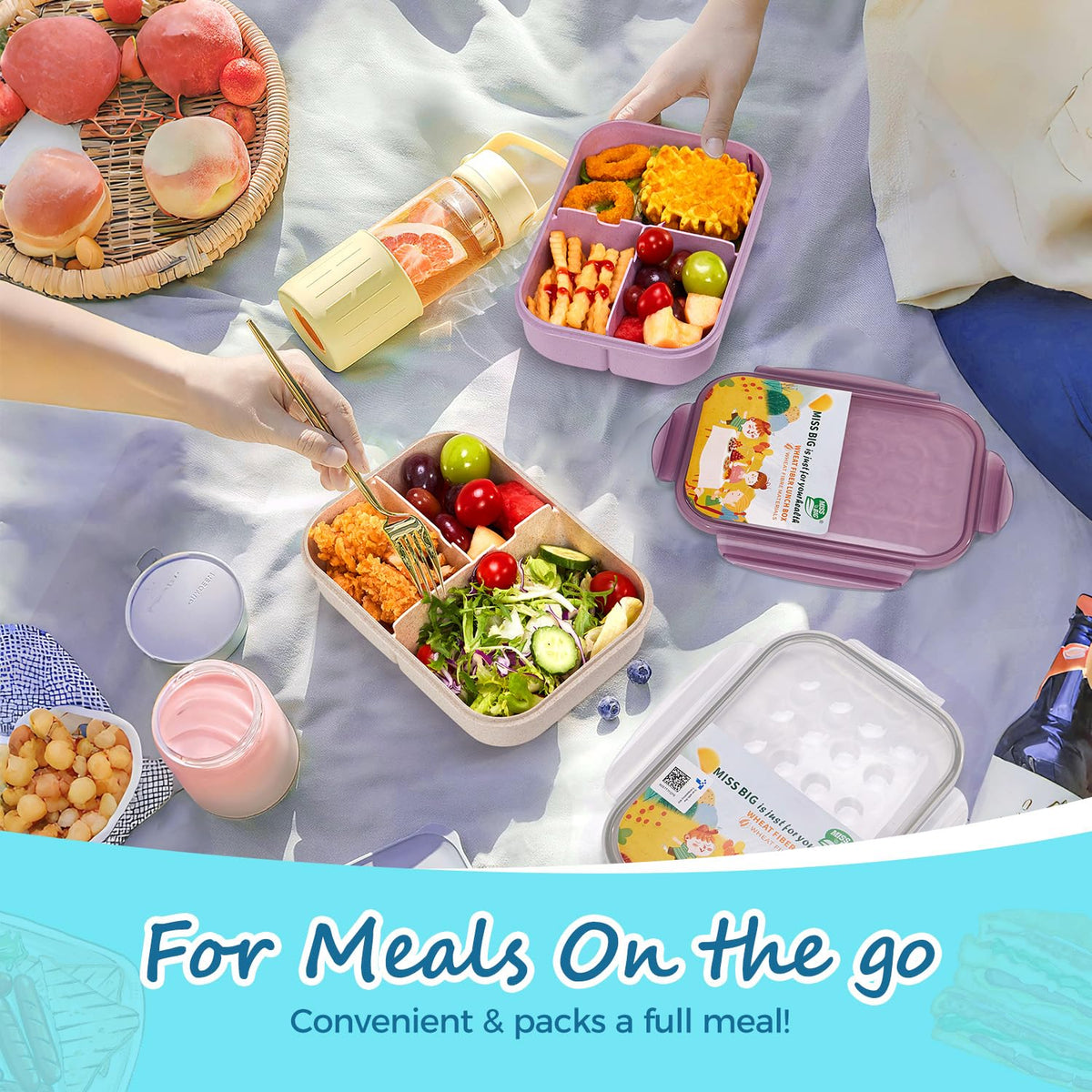 MISS BIG Bento Box with three compartments guides balanced meals for kids and adults.