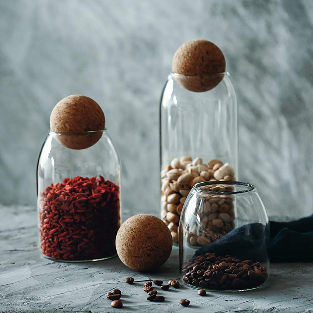 MOLFUJ 750ml canister ideal for coffee, tea, or snacks.