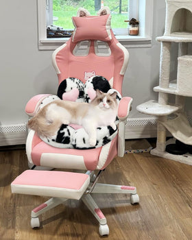 Moonbeek i cat paw cushion chair foam padding emphasizes comfortable support