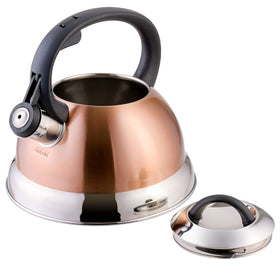 Mr. Coffee Flintshire kettle handle detail showing stay-cool grip.