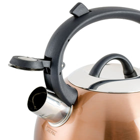 Mr. Coffee Flintshire copper finish spout view for easy pouring and visibility.
