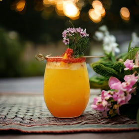 Oojami bulk-wine-glasses-for-events ideal for large gatherings
