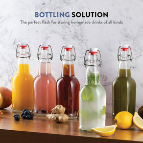 Paksh Novelty 16oz glass bottle with swing-top for bottling and display.