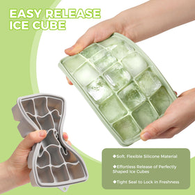 PET Hous ice trays with independent cavities and lids for easy release cubes