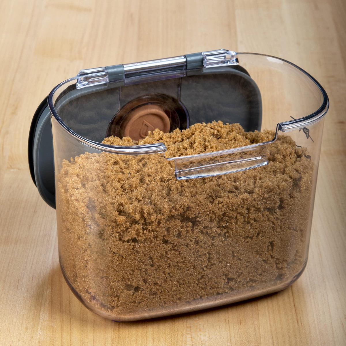 Clear ProKeeper+ container shows measurement marks up to six cups.