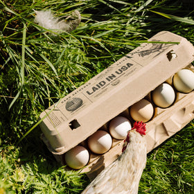 PTCOM Hatortempt fridge ready egg cartons in kitchen