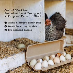 PTCOM Hatortempt secure lid design keeps eggs safe during handling