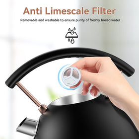 Rasonic kettle water level window showing easy-to-read marks for accurate pours.