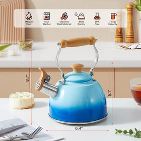 ROCKURWOK universal-base kettle compatible with induction, gas, and electric stoves