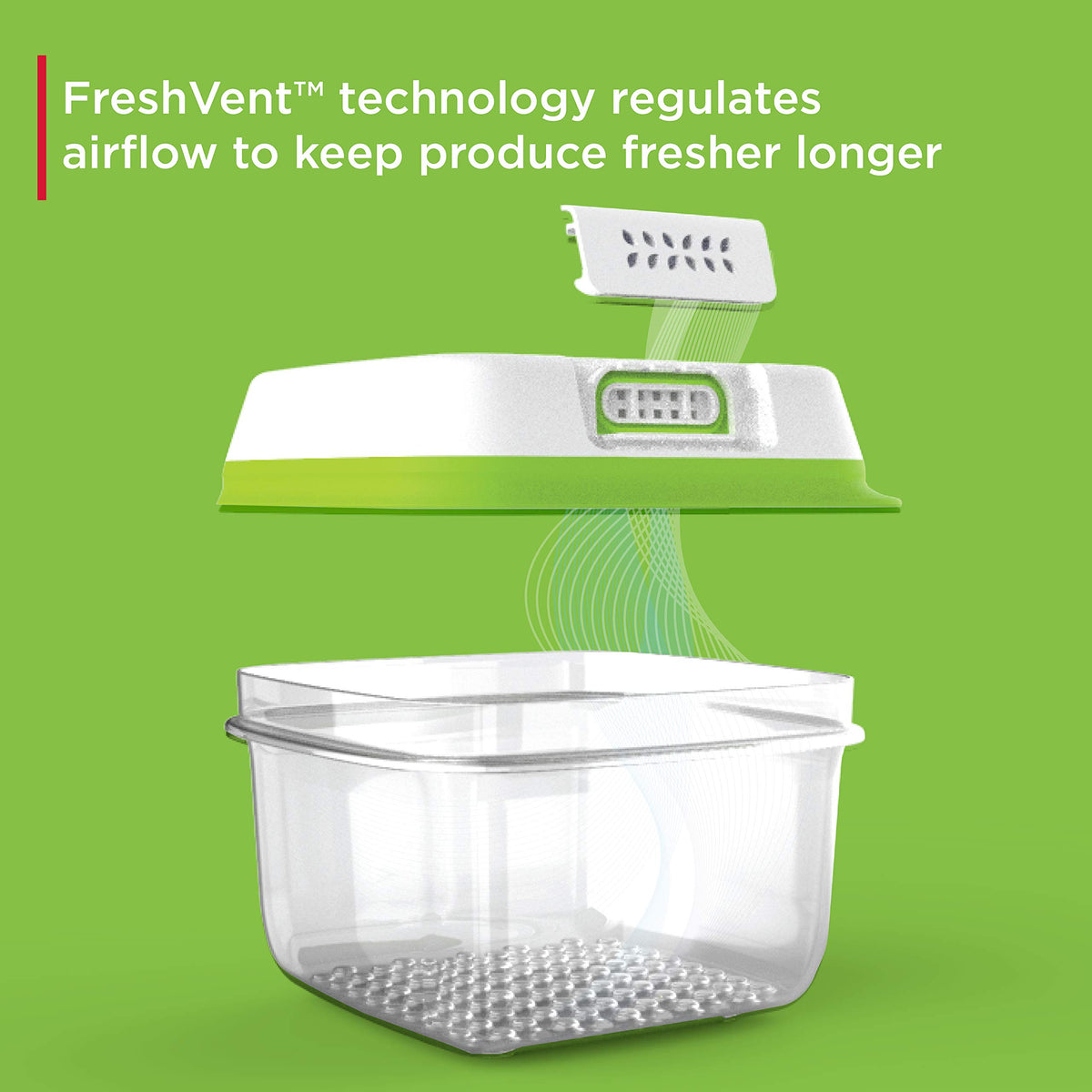 Rubbermaid FreshWorks Saver interior view with 4.6-cup capacity for produce