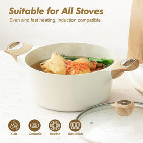 SENSARTE induction-bottom stock pot works on all stovetops