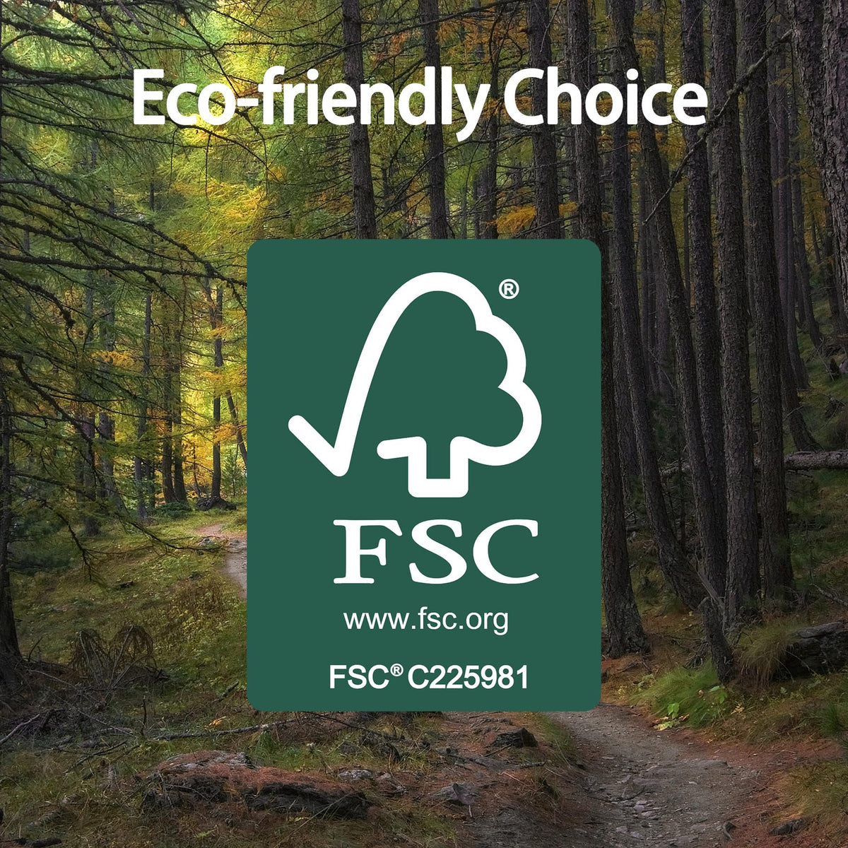 Sofkii FSC-certified napkins, green quality, biodegradable and compostable.