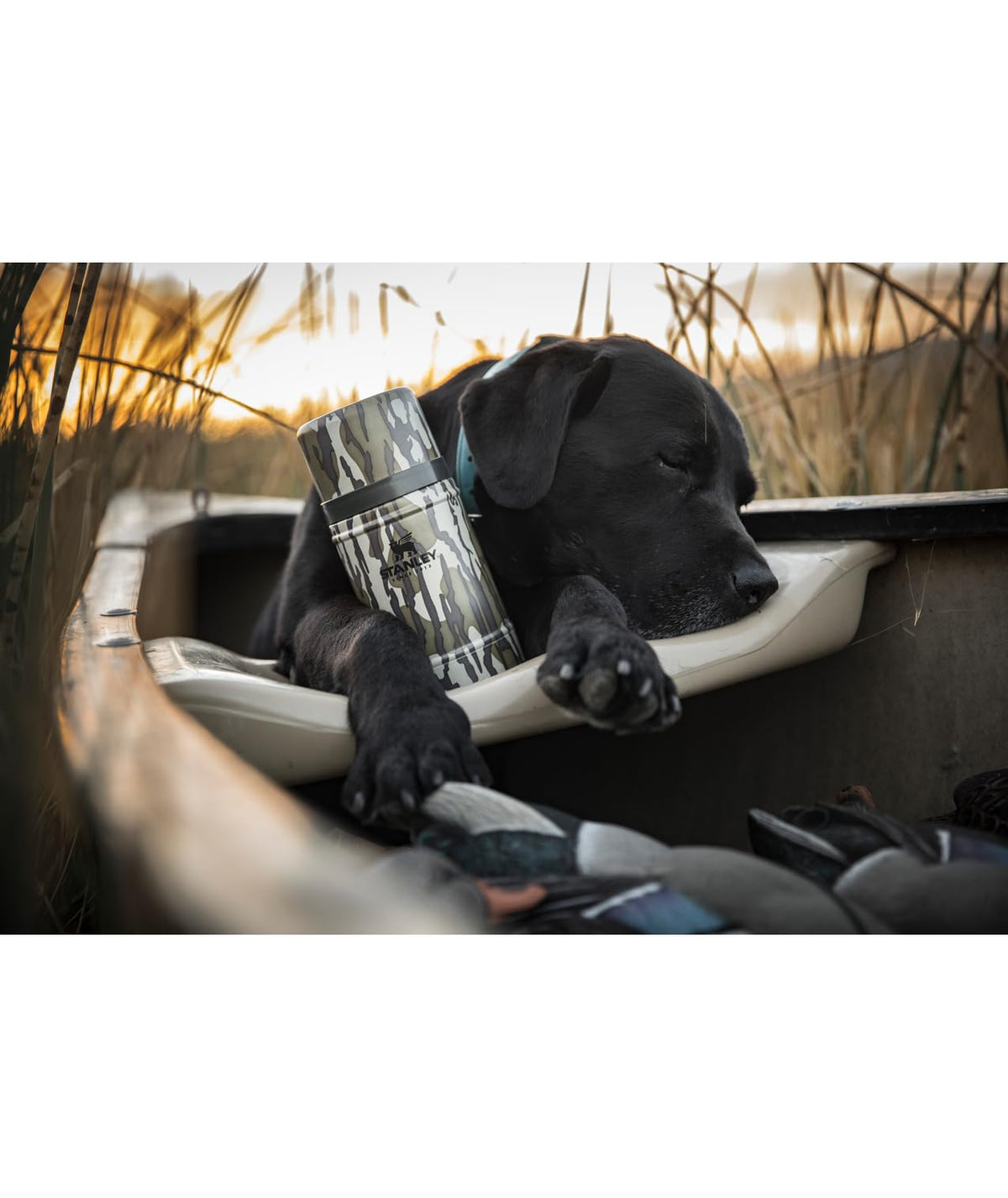 Stanley hammertone green stainless steel design for rugged outdoor use