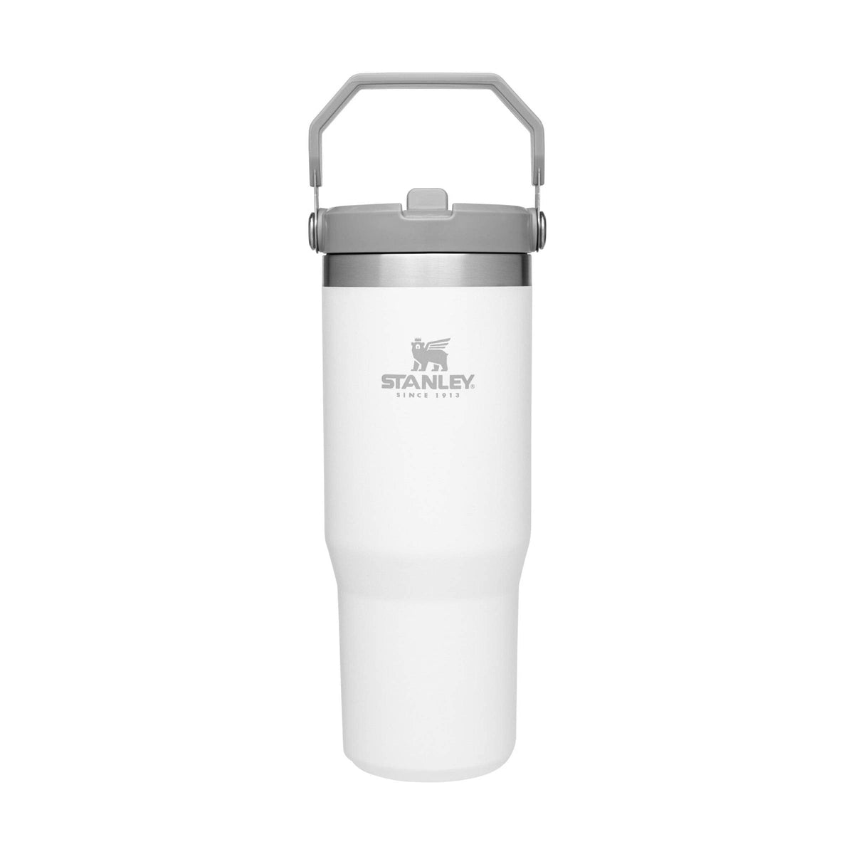 Stanley IceFlow flip straw tumbler 30 oz keeps drinks icy during workouts.