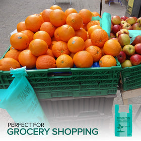 Stock Your Home bag dimensions 12x22x6.5 for versatile loads