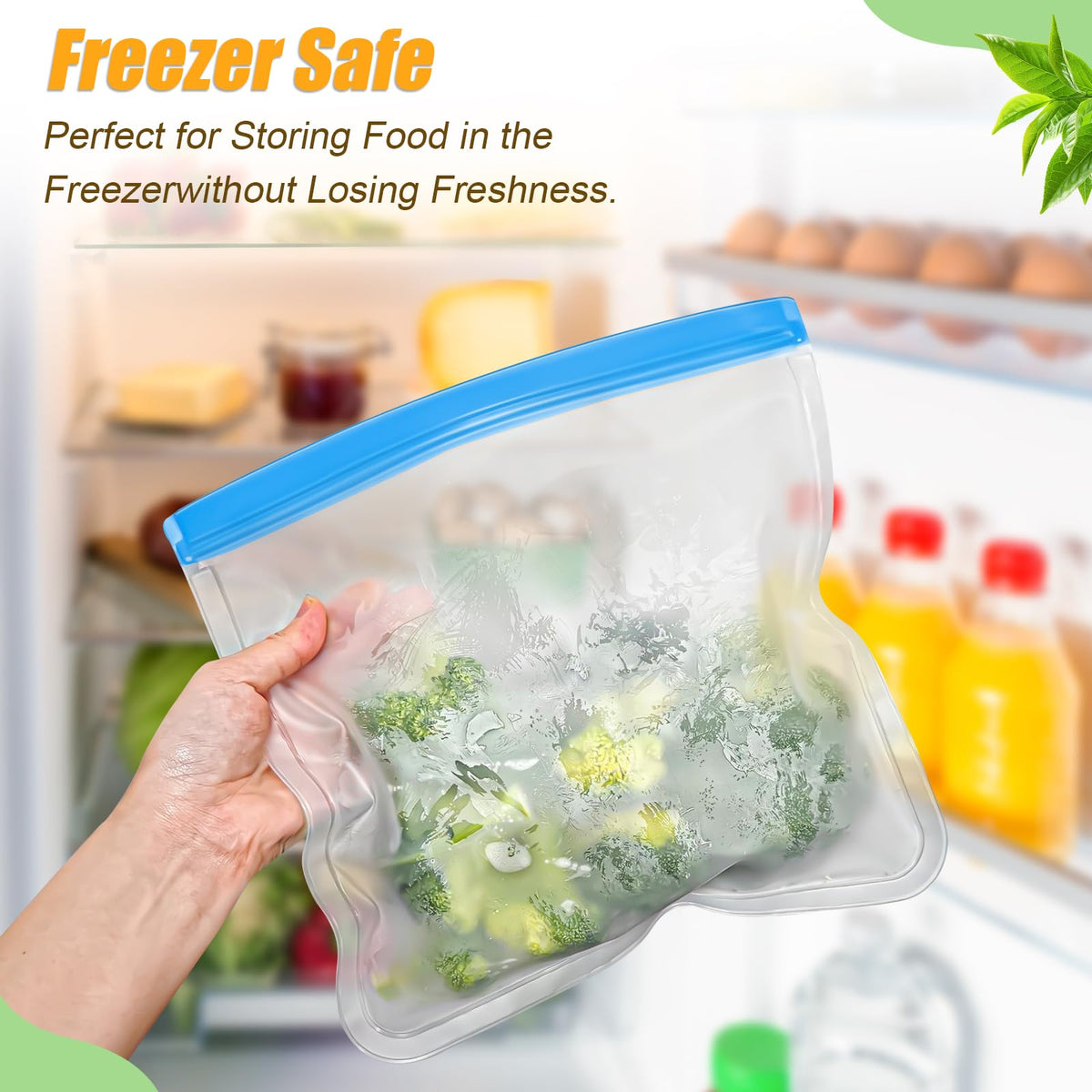 Swihorab multi-size collection fits varied foods and portions