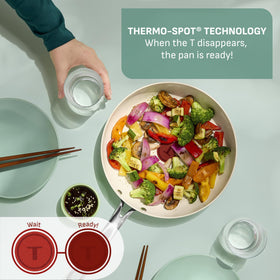 T-Fal Inspire 8-inch frypan with Thermo-Spot showing preheat readiness.