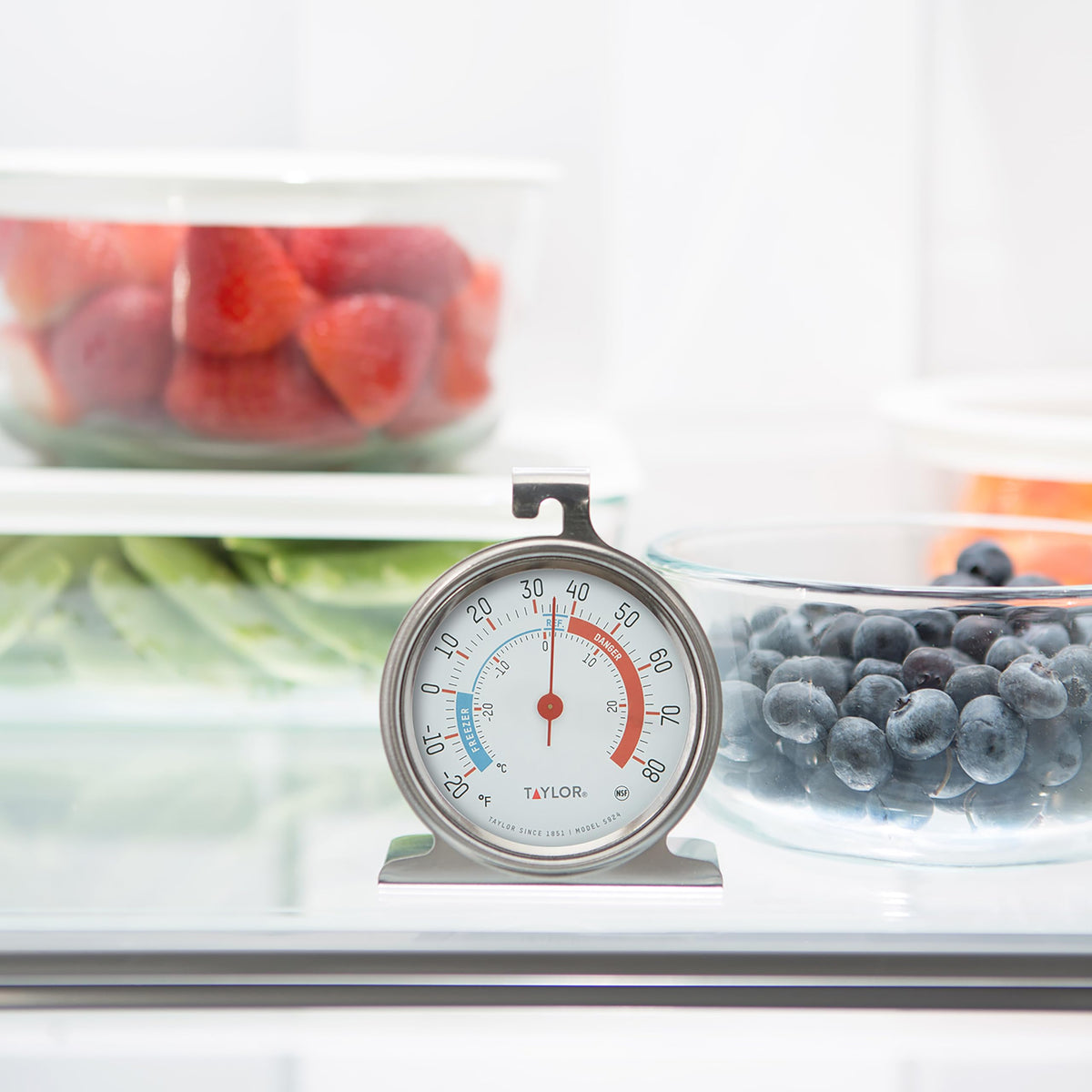 Taylor two-pack thermometer dials on shelves aid quick temperature checks
