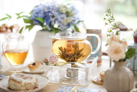Teabloom Kyoto on stove highlights dual kettle and steep setup