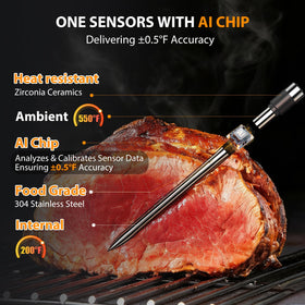TEMMIO AI Smart Thermometer magnetic base attached securely to grill.