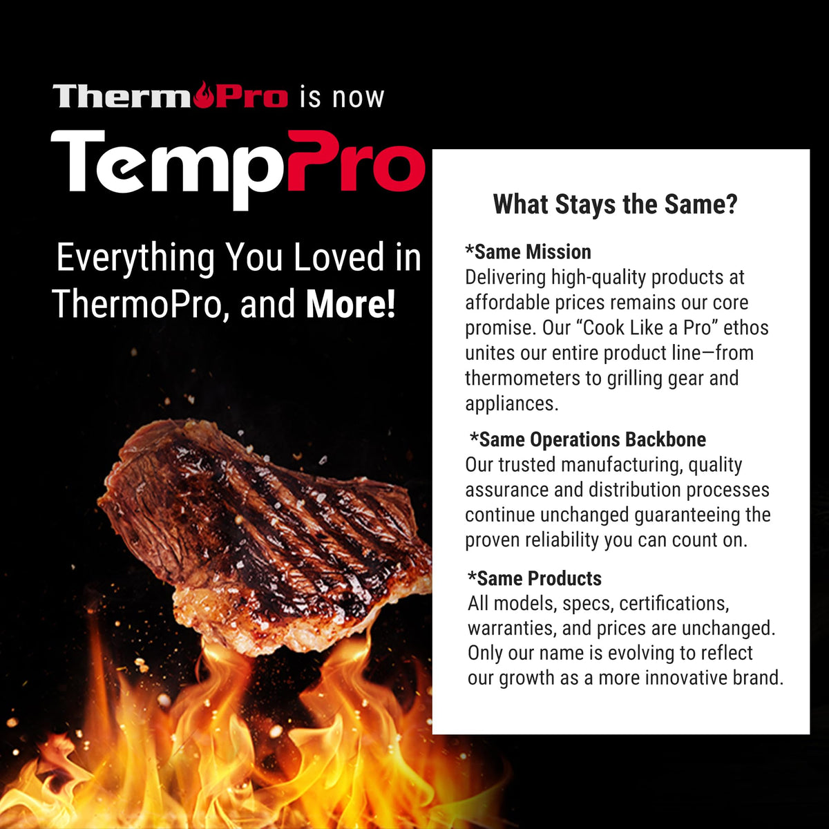 TempPro TP510 wide temperature range chart supports candy, frying and more