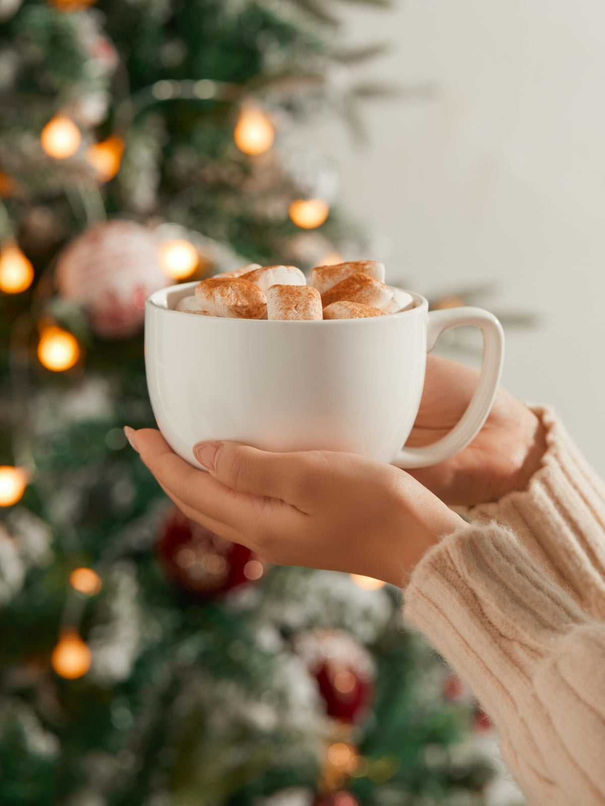 Teocera holiday gift mug set, stylish and practical for celebrations.