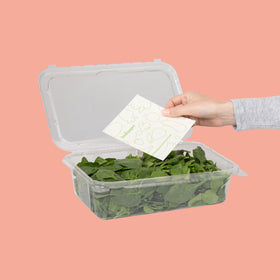 FreshPaper sheets inside a salad bag helping reduce spoilage.