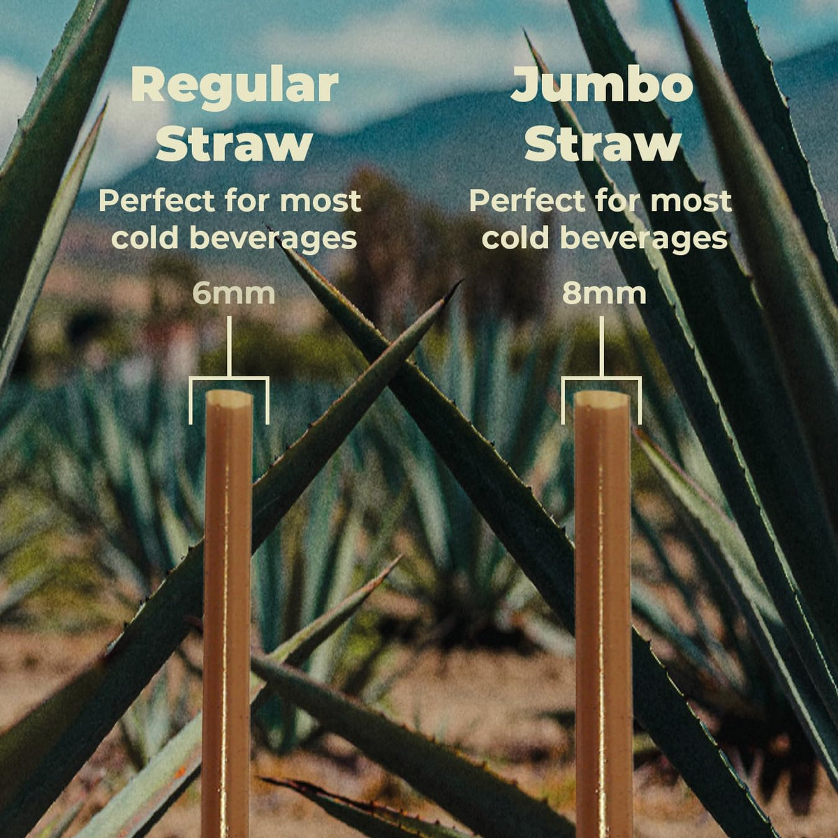 The Sustainable Agave Company 8in brown straw ready for beverages.