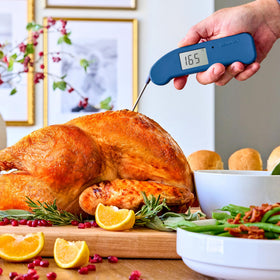 ThermoWorks Thermapen ONE with 360-degree display for any viewing angle.