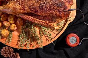ThermoWorks DOT IP65 durable shell withstands splashes in busy kitchens.