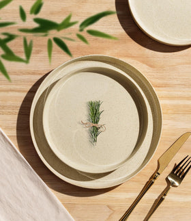 TheTerra dinner plates 10-25 inches showcase speckled finish for stylish servings.