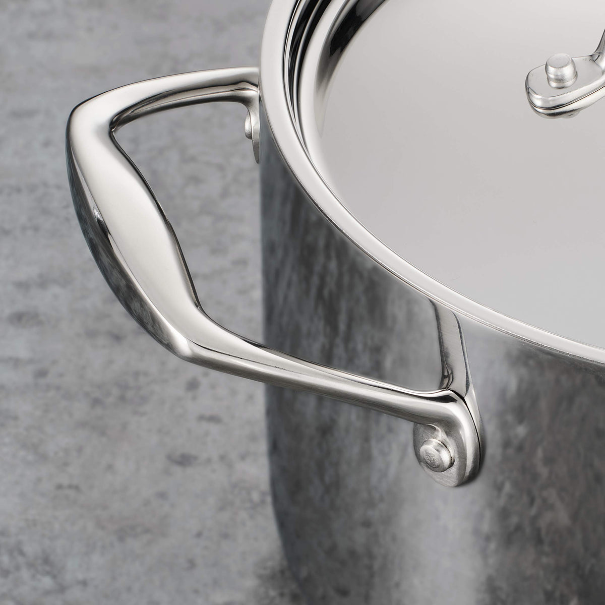 Tramontina Signature 8qt stock pot with lid for large batches