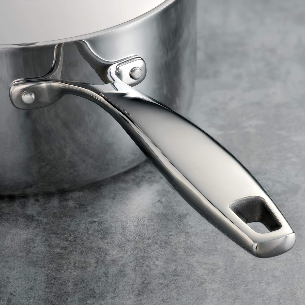 Oven-safe up to 500°F feature on Tramontina Signature pan