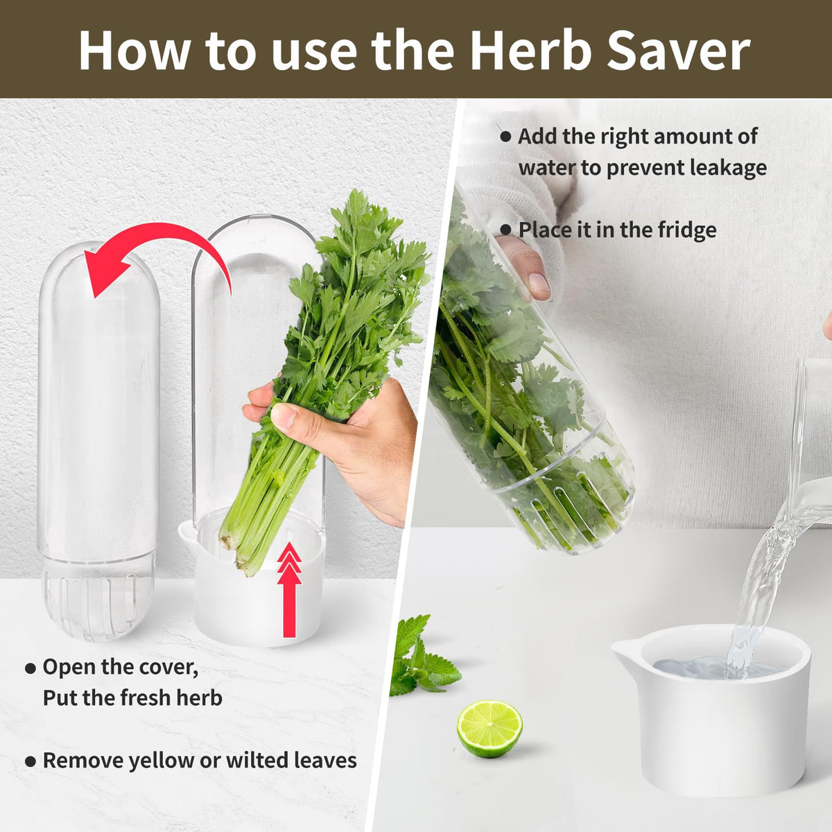 UEOZ stems submerged in water maximize herb lifespan