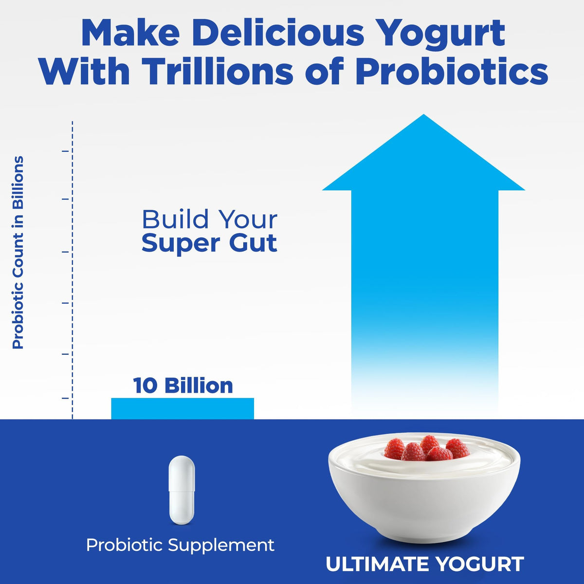 Ultimate Probiotic Yogurt Maker includes two glass containers for family-sized batches.