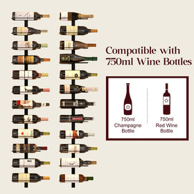 X-cosrack wine bottle display on the wall adds an elegant touch.