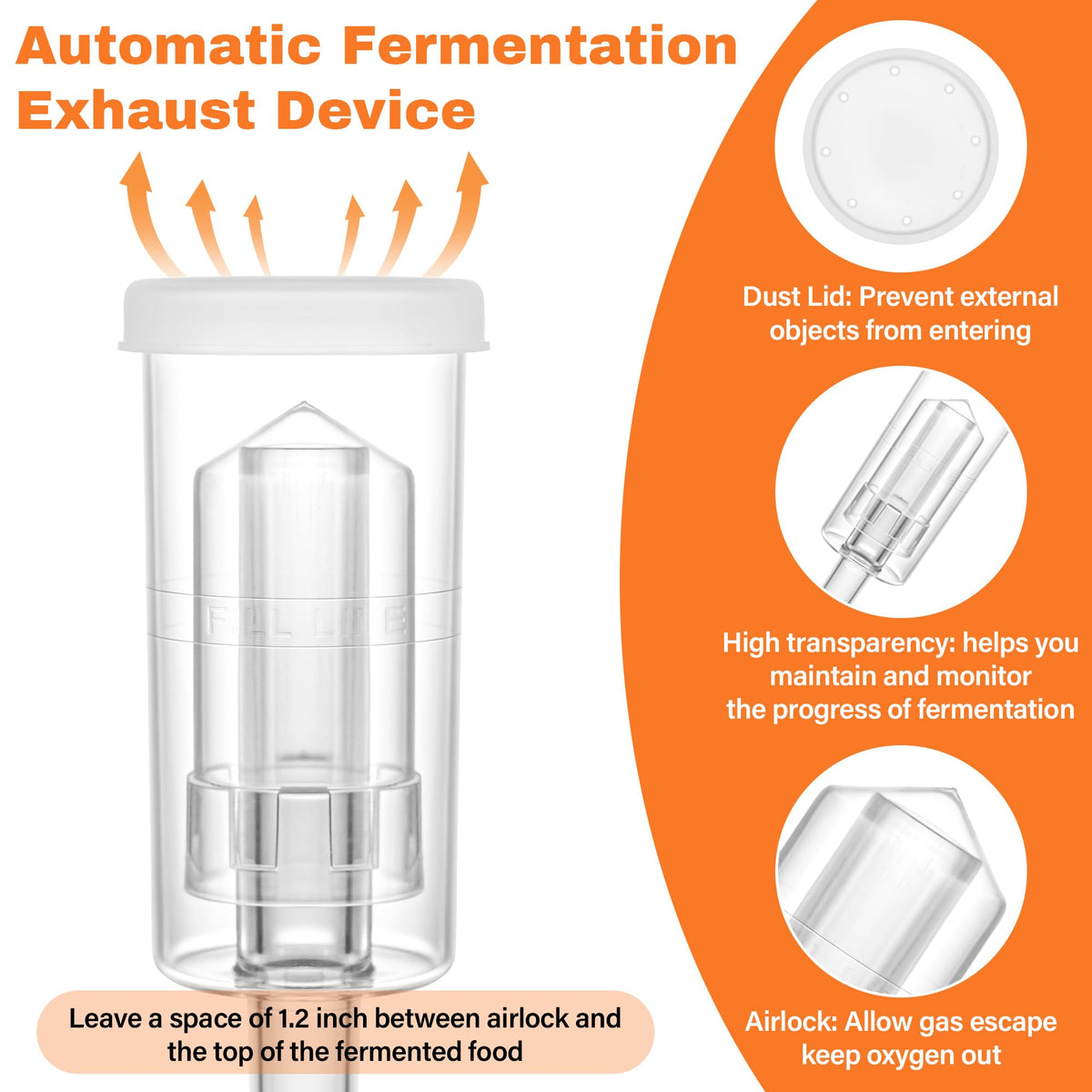 Xileanalee sauerkraut, kimchi and pickles display versatile home fermentation