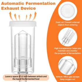 Xileanalee sauerkraut, kimchi and pickles display versatile home fermentation