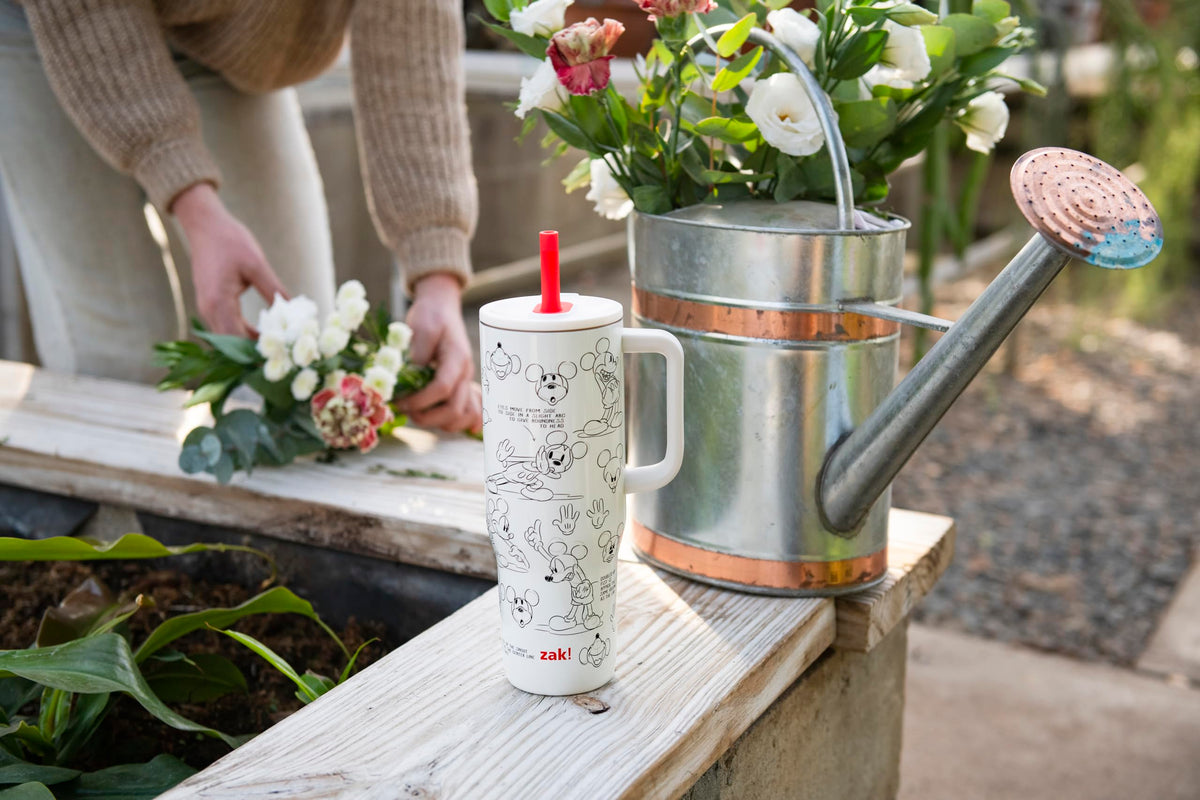 Zak Designs Sutton tumbler with vacuum insulation keeps drinks cold for hours