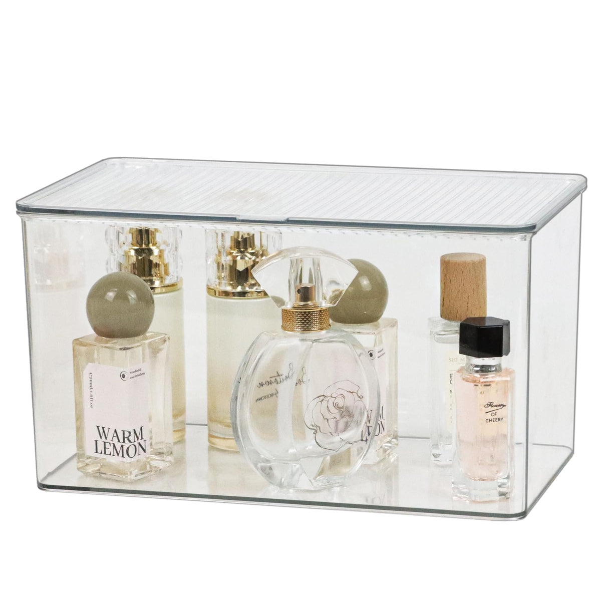 ZEXALOR clear plastic bin ideal for multipurpose storage options