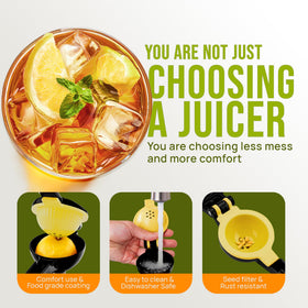 Zulay Kitchen citrus juicer with seed-filter holes keeps pulp out.